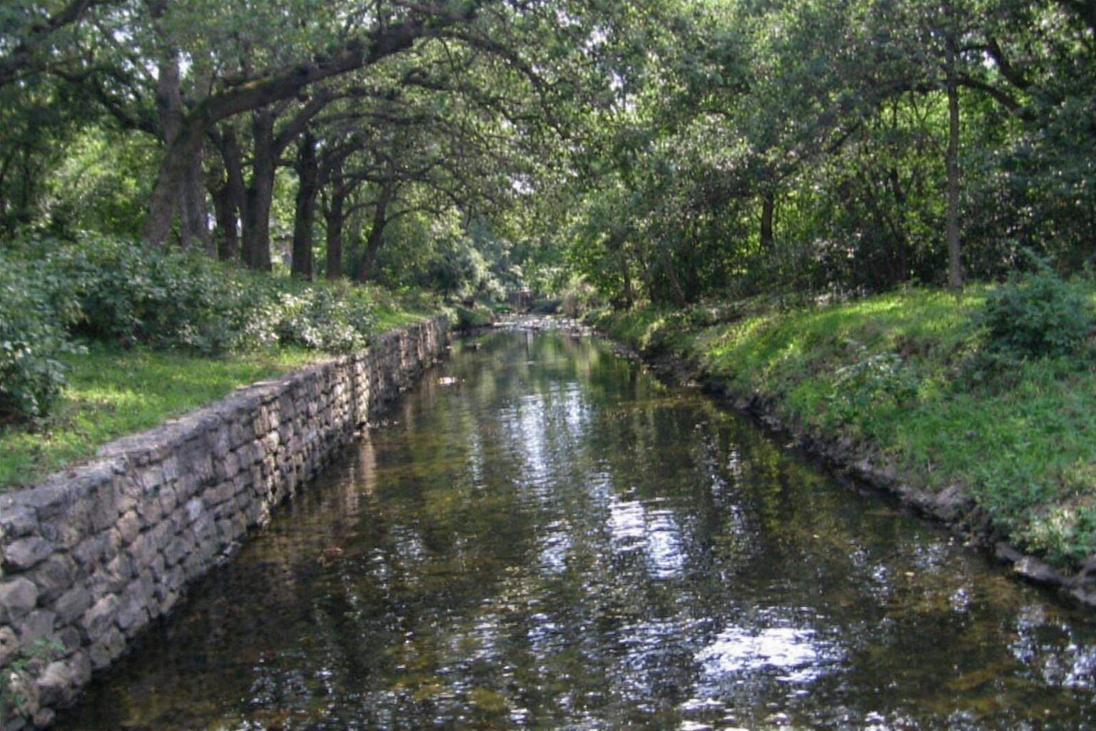 A creek under a dense canopy of old trees